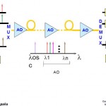 esquema de multiplexación óptica dwdm
